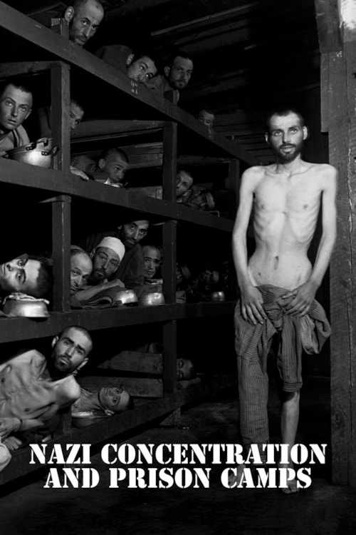 Nazi Concentration Camps poster